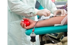 К Национальному дню донора: врач и донор – важнейший тандем в деле спасения человеческой жизни
